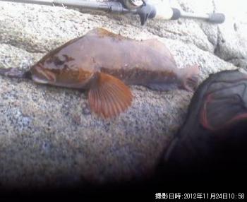 �����ʥ�