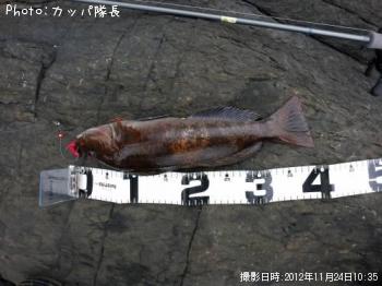 �����ʥ�