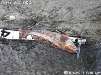 �����ʥ�