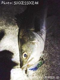 �����Х�