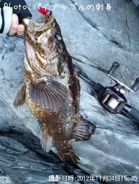 �٥å�������