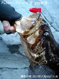 �٥å�������