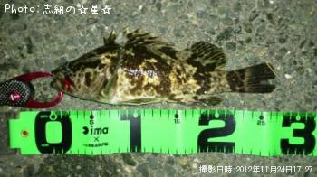 ¥¿¥±¥Î¥³¥á¥Ð¥ë