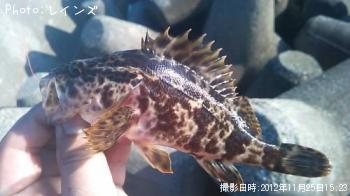 �����Υ���������