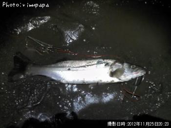 �����Х�