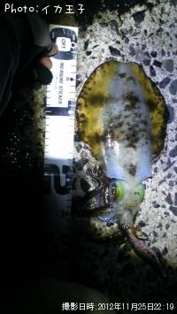 �����ꥤ��