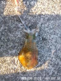 �����ꥤ��