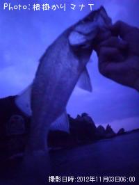 �ҥ饹����