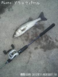 �����Х�