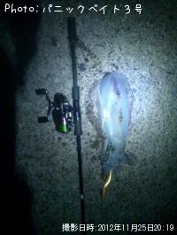 �����ꥤ��