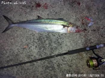 �����å���