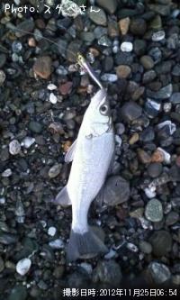 �����Х�