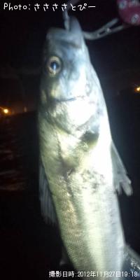 �����Х�