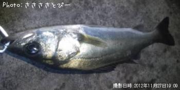 �����Х�