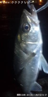 �����Х�