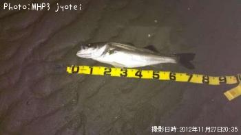 �����Х�