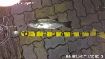 �ҥ饹����