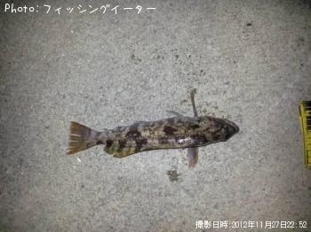 �����ʥ�