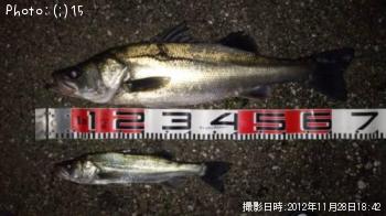 �����Ф�