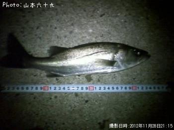 �����Х�