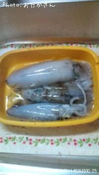 �����ꥤ��