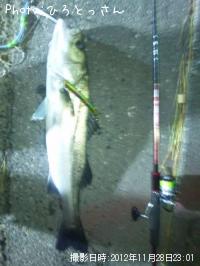 �����Х�