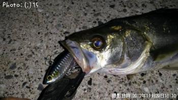 �����Ф�