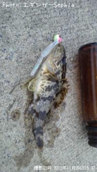 ¥¿¥±¥Î¥³¥á¥Ð¥ë