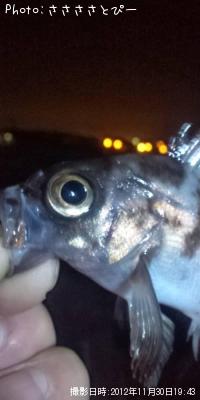 ��Х�������������Х�