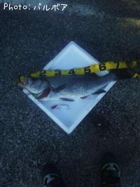 �ҥ饹����