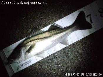 �����Х�