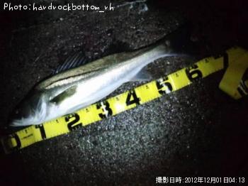 �����Х�