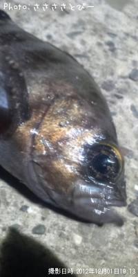 ¥¯¥ê¥¢¥á¥Ð¥ë