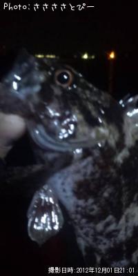 ¥¯¥ê¥¢¥á¥Ð¥ë