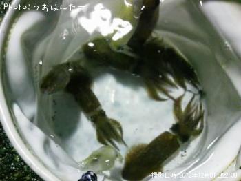 �ҥ���