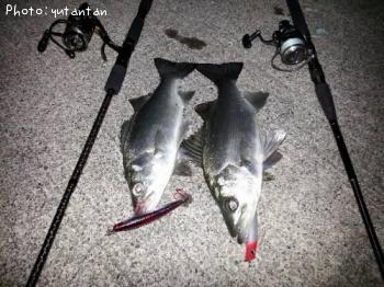 �ҥ饻����