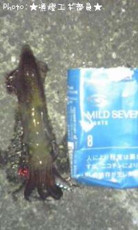 �ߥ�����