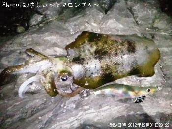 �����ꥤ��