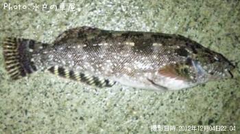 �����ʥ�