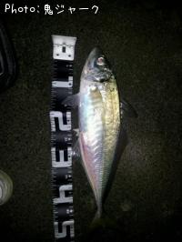 �����ۥ��ҥ饢��