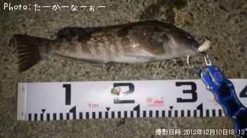 �����ʥ�