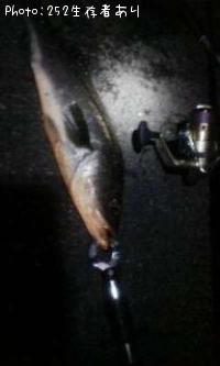 �����Х�