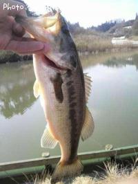 �֥�å��Х�