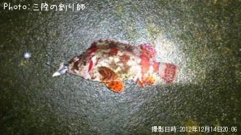 �������Х�