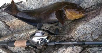 �����ʥ�