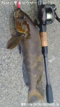 �����ʥ�