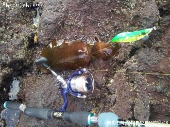 ¥¢¥ª¥ê¥¤¥«