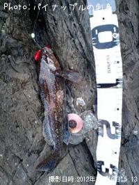 �����ʥ�