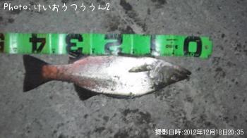 �ҥ饻����
