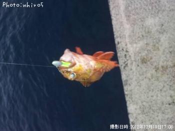 ������